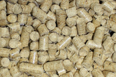 Skittle Green biomass boiler costs